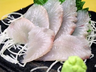 sawara sashimi