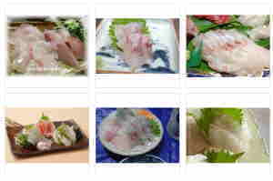 shiromi no sashimi