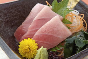 chutoro no sashimi